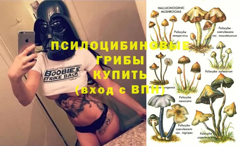 Псилоцибиновые грибы Psilocybine cubensis  продажа наркотиков  Белоярский 